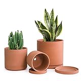 D'vine Dev Terracotta Pots for Plants, 4.2 Inch 5.3 Inch 6.5 Inch, Succulent Planter Pot with Drainage and Saucer, 40-A-T-1