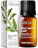 Gya Labs Bay Leaf Essential Oil (10ml) - Spicy, Herbaceous Scent