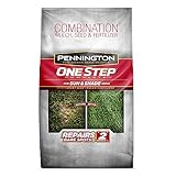 Pennington One Step Complete Sun & Shade Bare Spot Grass Seed, 10 Pounds, White