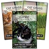 Sow Right Seeds - Catnip and Cat Grass Seed Collection for Planting Indoors or Outdoors - Includes Popular Herb Catnip and Cat Grass (100% Sweet Oat Grass) - Non-GMO Heirloom Packet - Pet Friendly