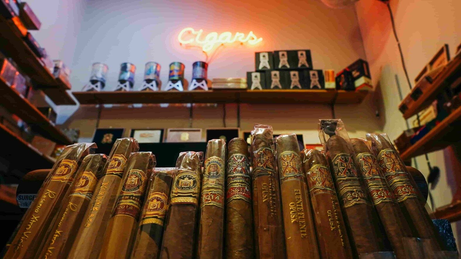 5 Best Cigars for Beginners in 2024
