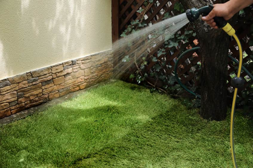 new-sod-survival-guide-how-often-to-water-for-a-healthy-lawn